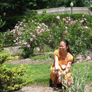 Meet your Posher, Meiyu